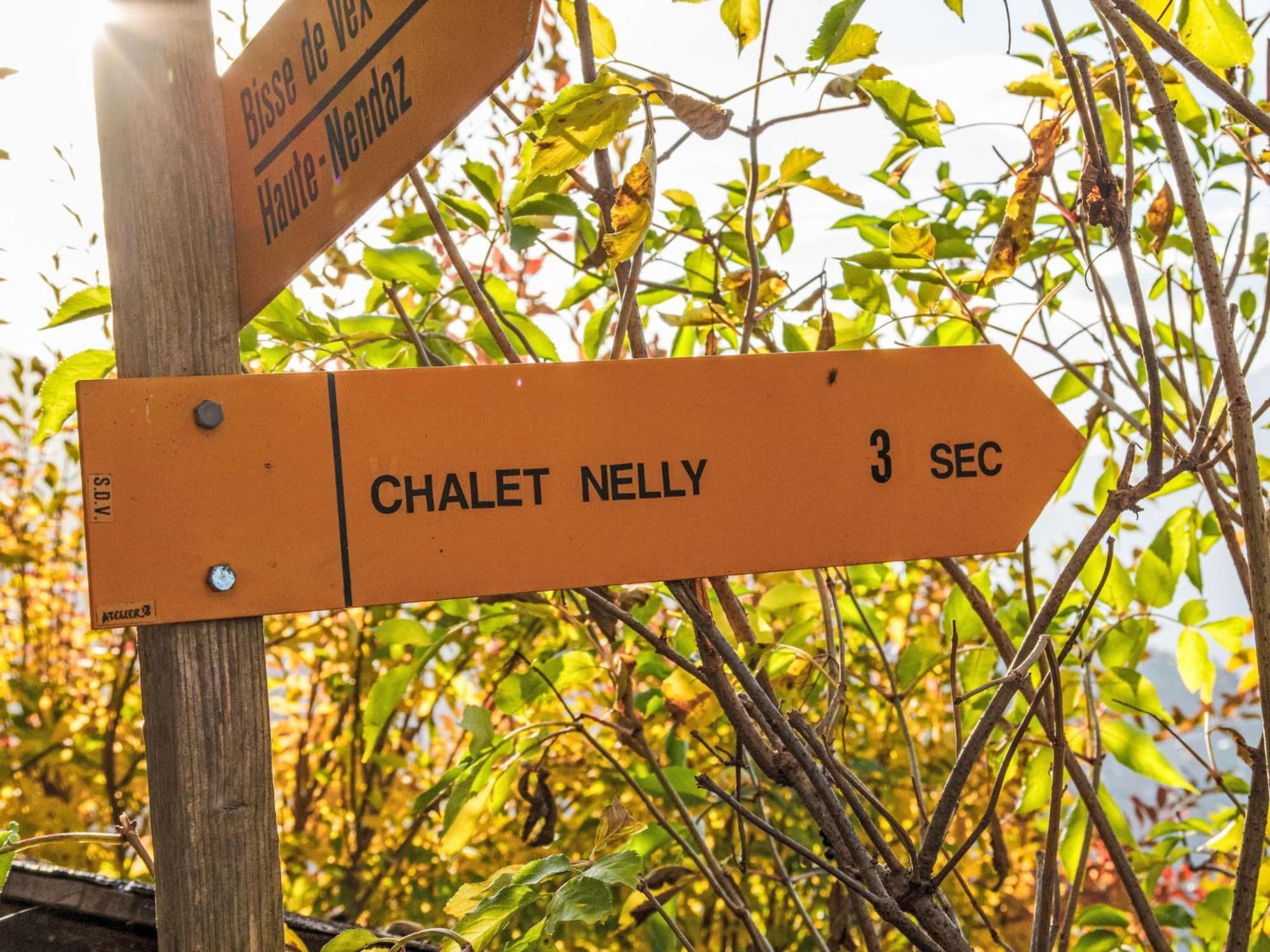 Chalet Nelly By Interhome Veysonnaz ภายนอก รูปภาพ